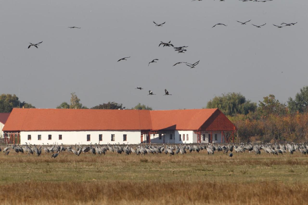 Bibic Nature Lodge Balmazújváros Εξωτερικό φωτογραφία