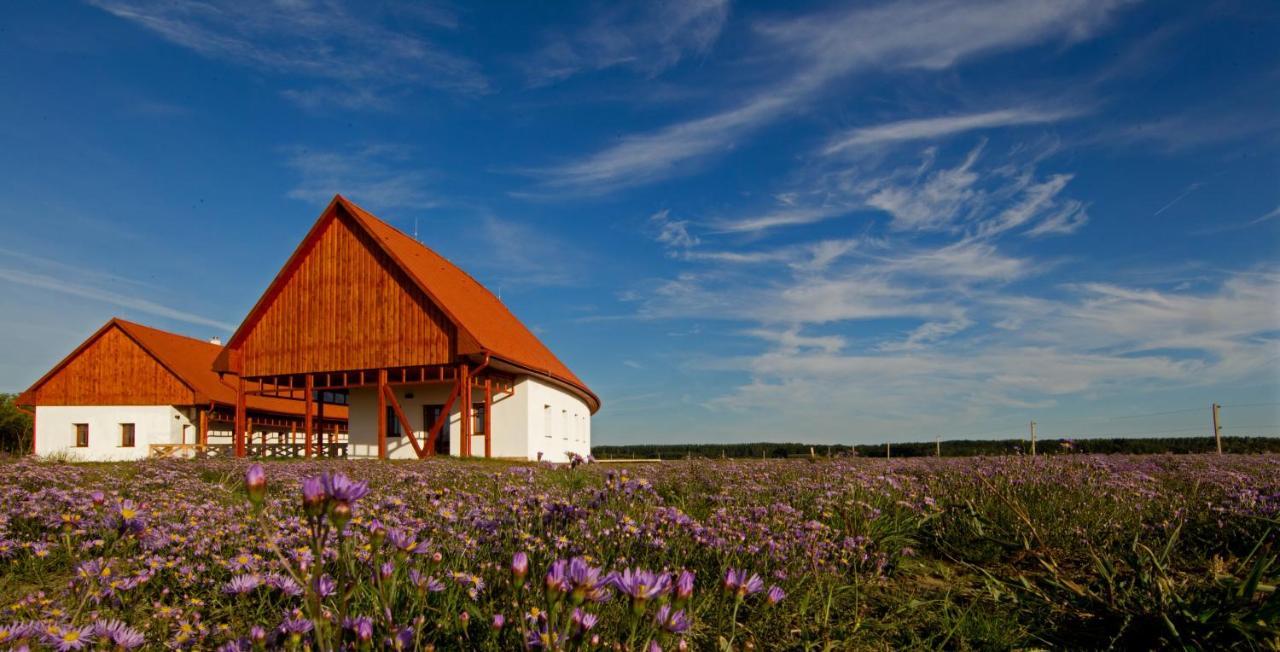 Bibic Nature Lodge Balmazújváros Εξωτερικό φωτογραφία