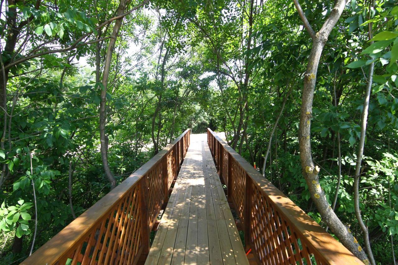 Bibic Nature Lodge Balmazújváros Εξωτερικό φωτογραφία